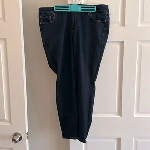 Lane Bryant super stretchy skinny jeans